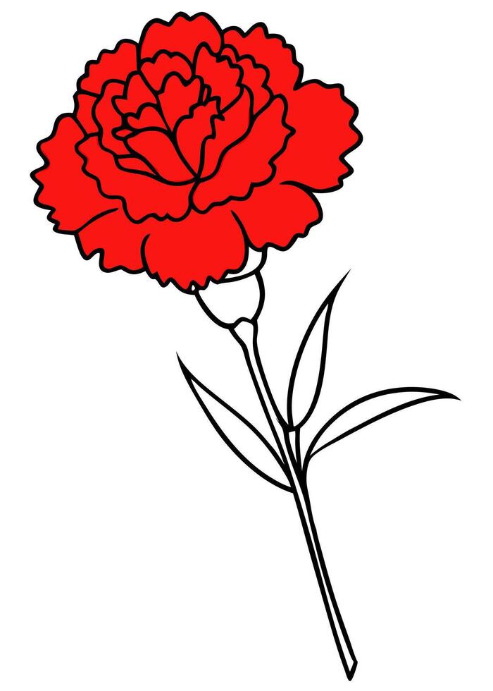 carnation, illustration line art vector