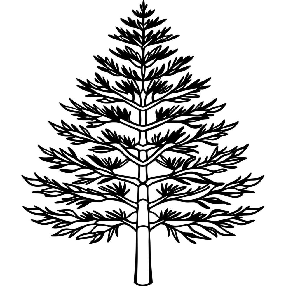 larch tree, illustration line art vector