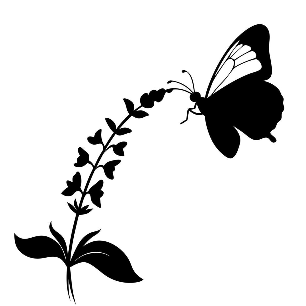 a butterfly is extracting nectar from a salvia flower, illustration line art vector