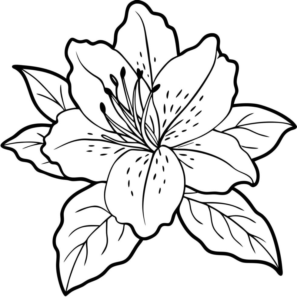 azalea, illustration line art vector
