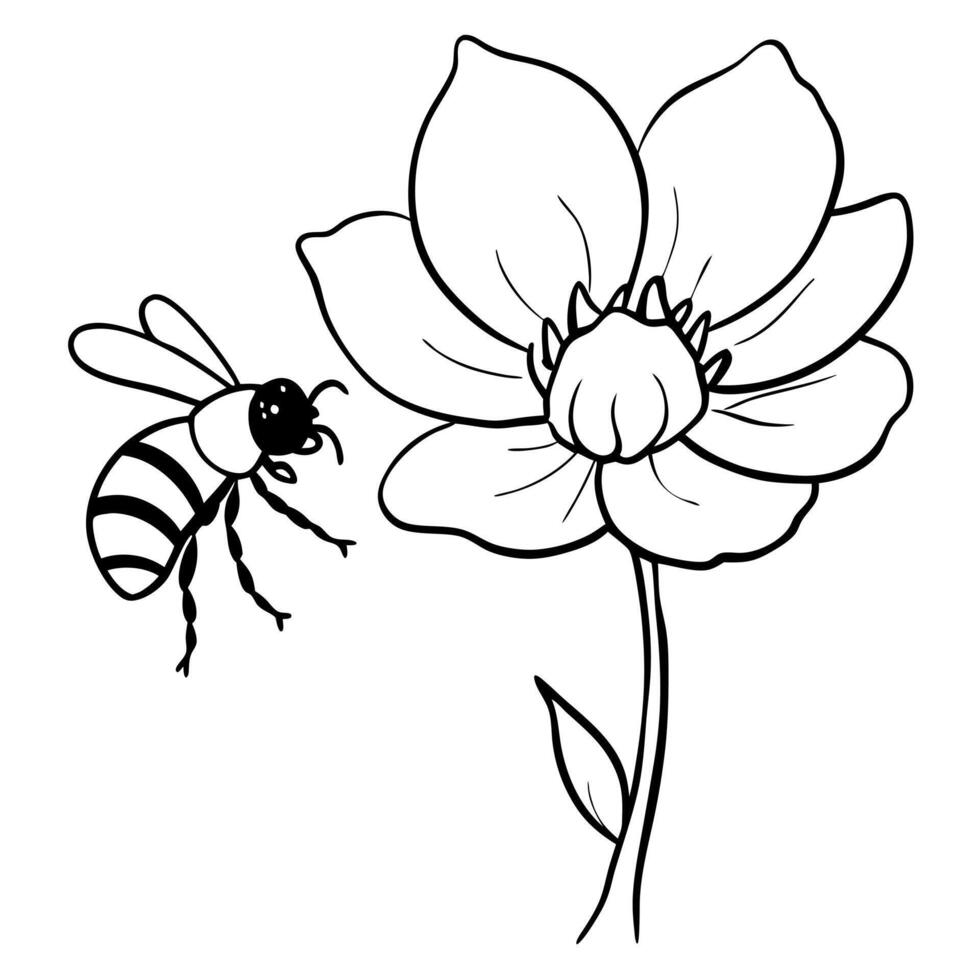 a bee is extracting honey from a anemone flower, illustration line art vector
