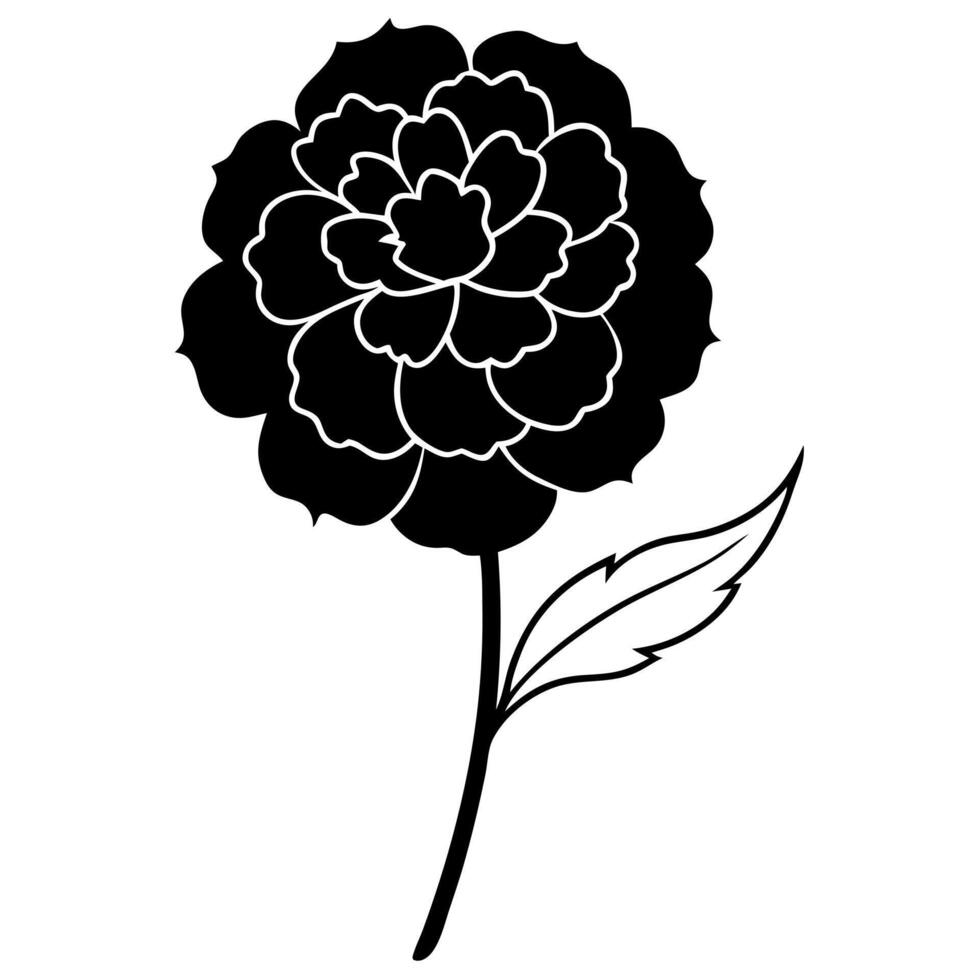 an image of marigold silhouette with a white background, illustration line art vector