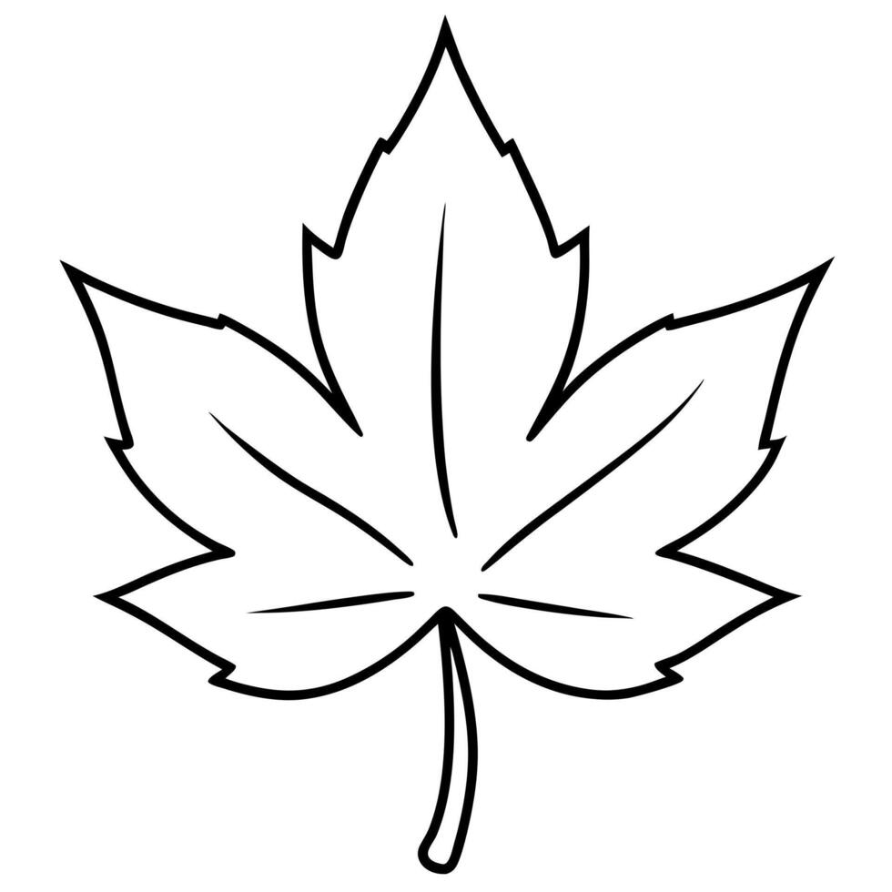 maple leaves, illustration line art vector