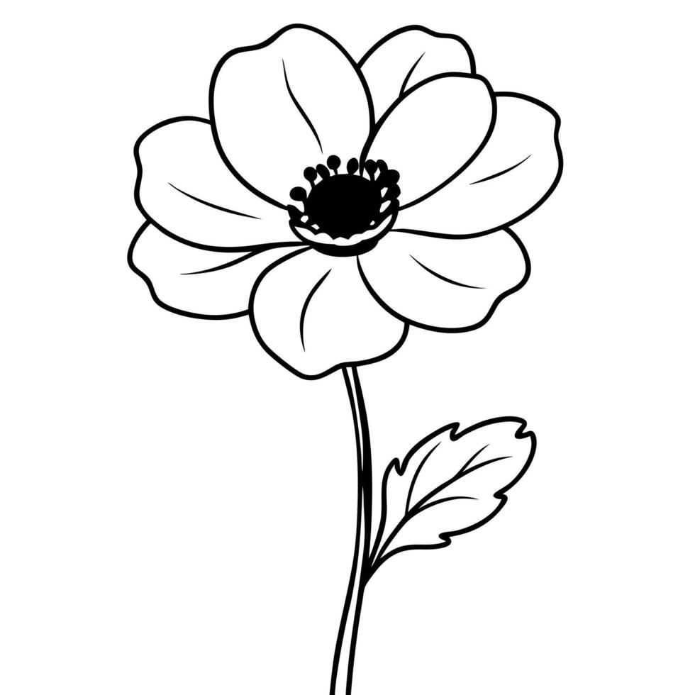 anemones flowers bud, illustration line art vector
