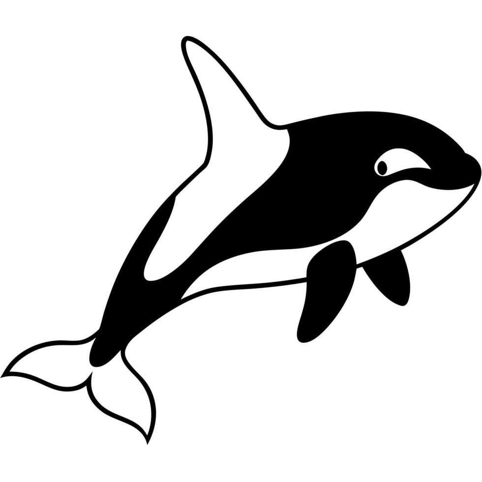 orca, illustration line art vector