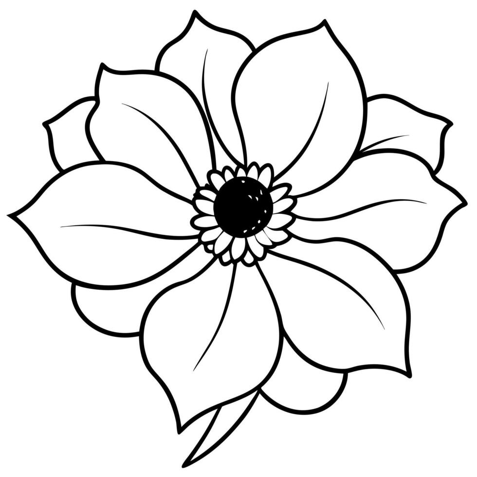 anemone flower, illustration line art vector