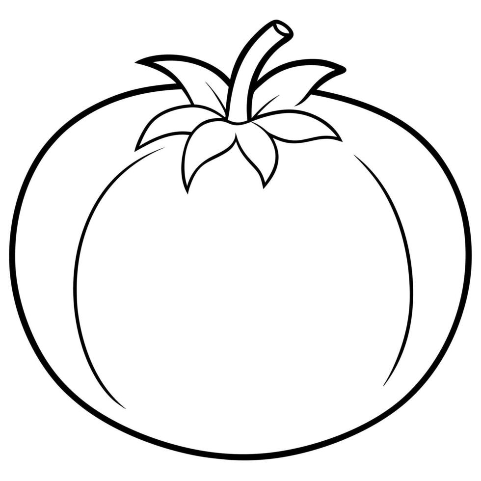 fresh red tomato, illustration line art vector
