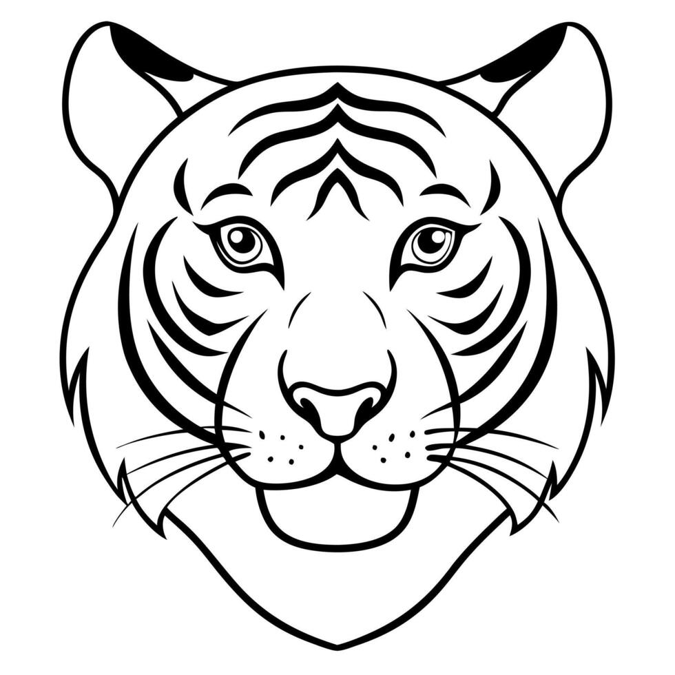 a unique about sumatran tiger head with white background, illustration line art vector