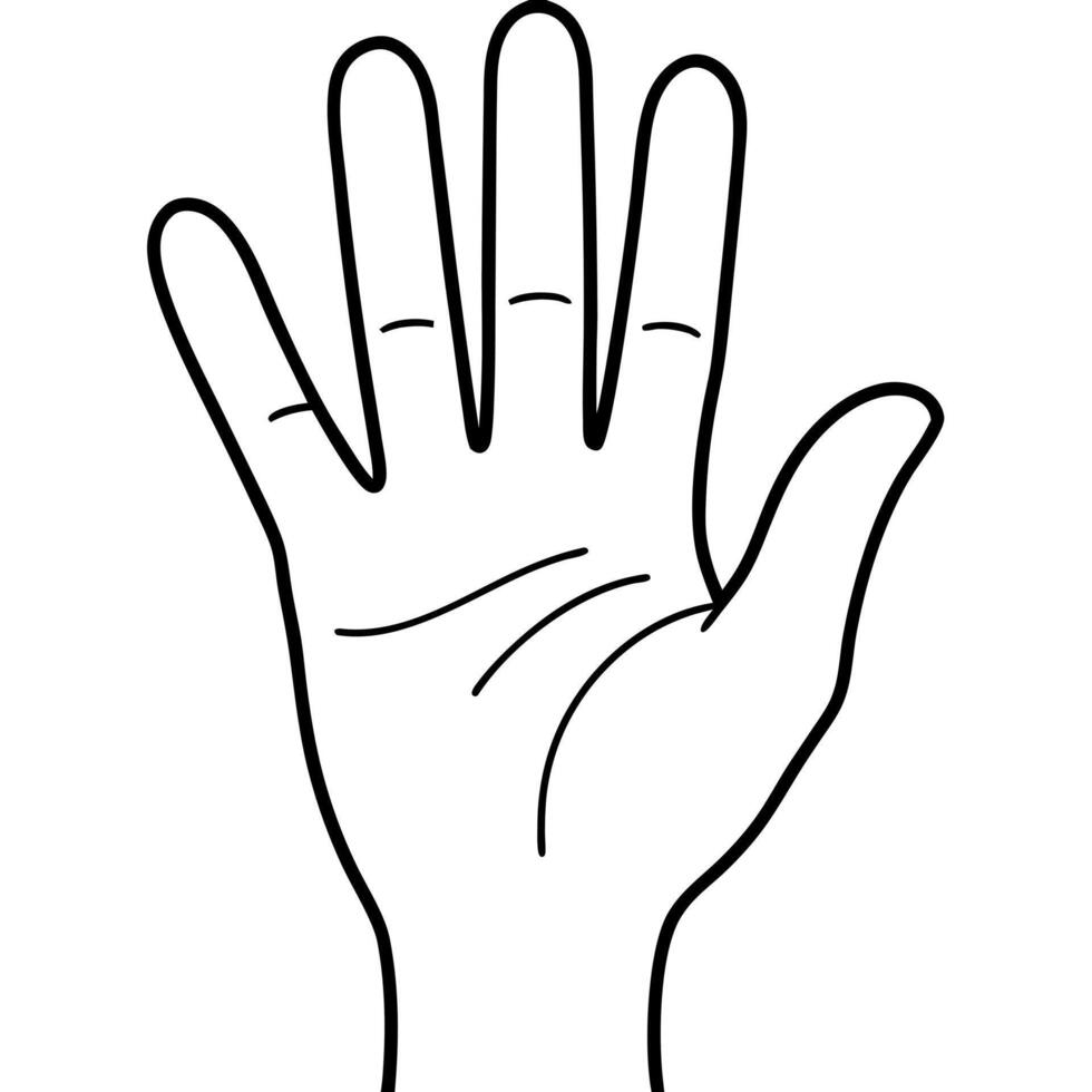 hand, illustration line art vector