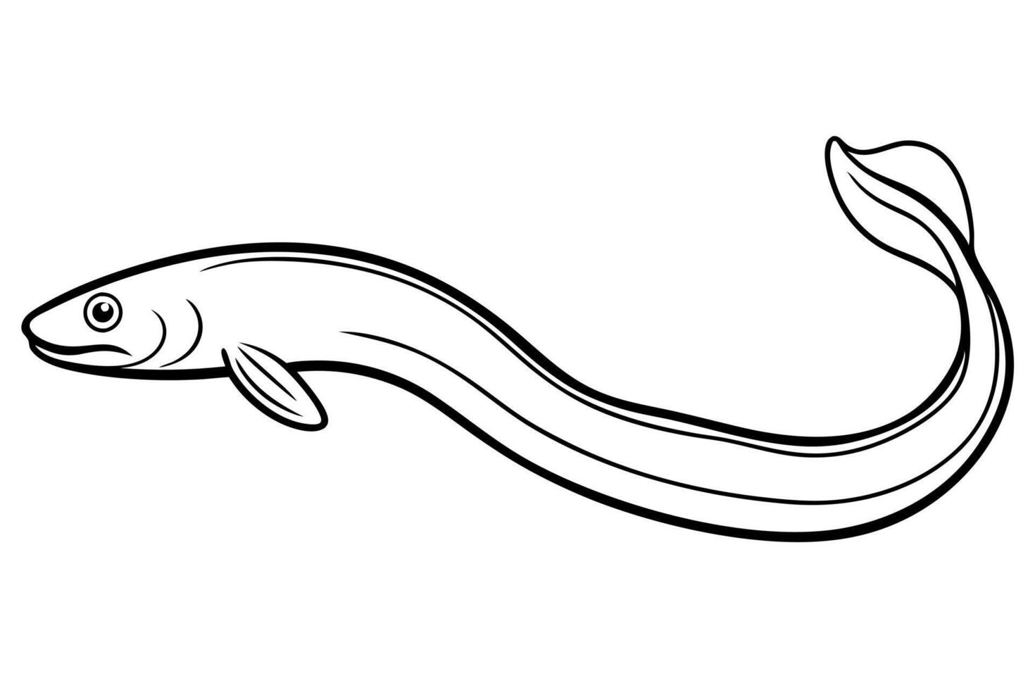 eel straightened the eel extends its body straight, often while moving quickly or darting vector