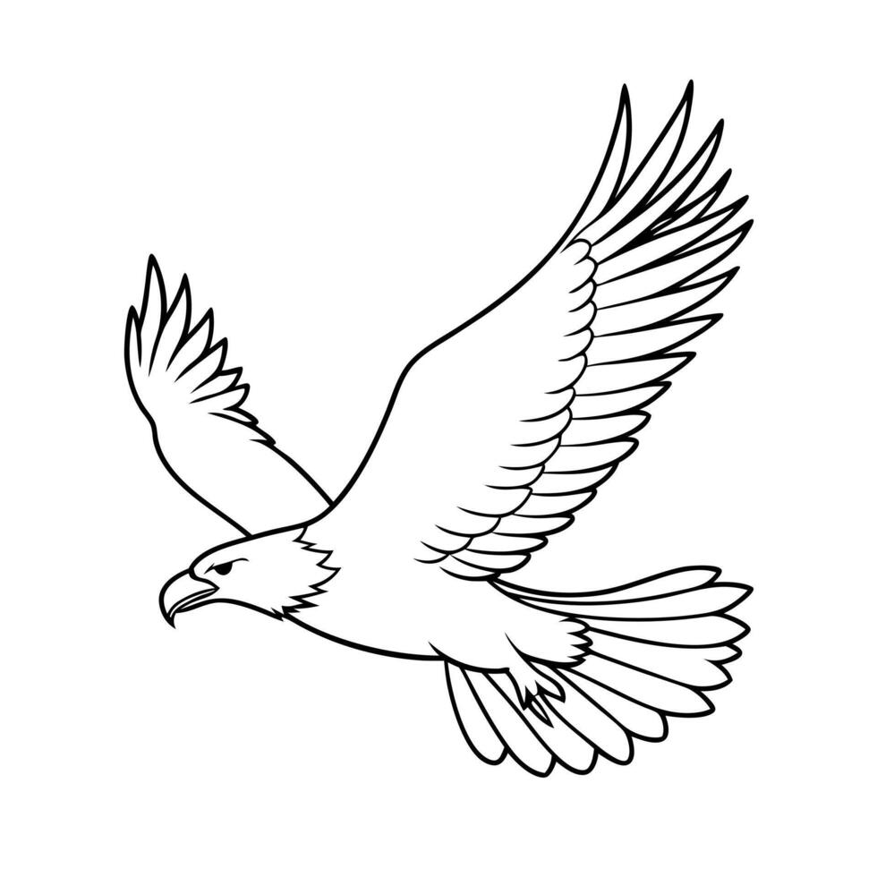 american bald eagle flying, illustration line art vector