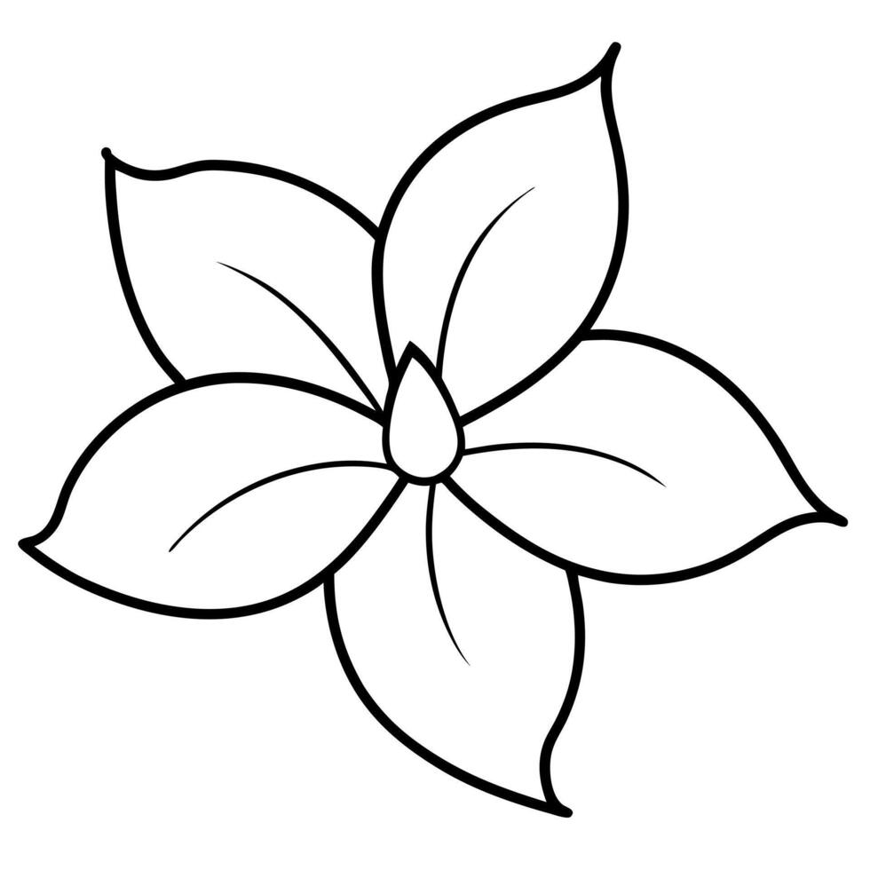 jasmine signature shape illustration, illustration line art vector