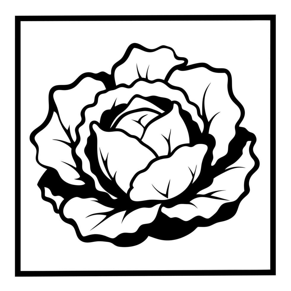 lettuce solid, illustration line art vector