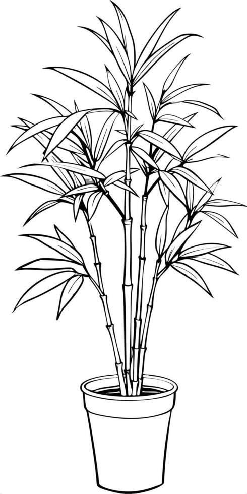 bamboo in the pot, illustration line art vector
