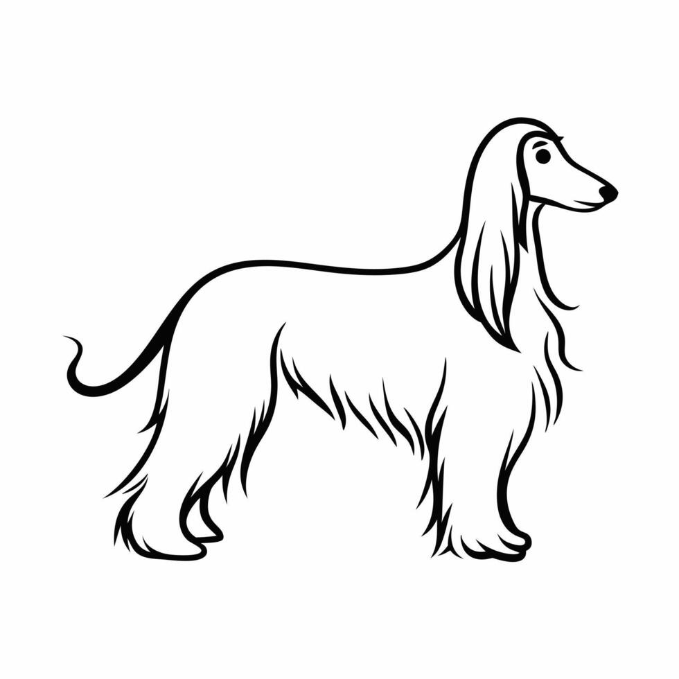 afghan hound dog black and white, illustration line art vector