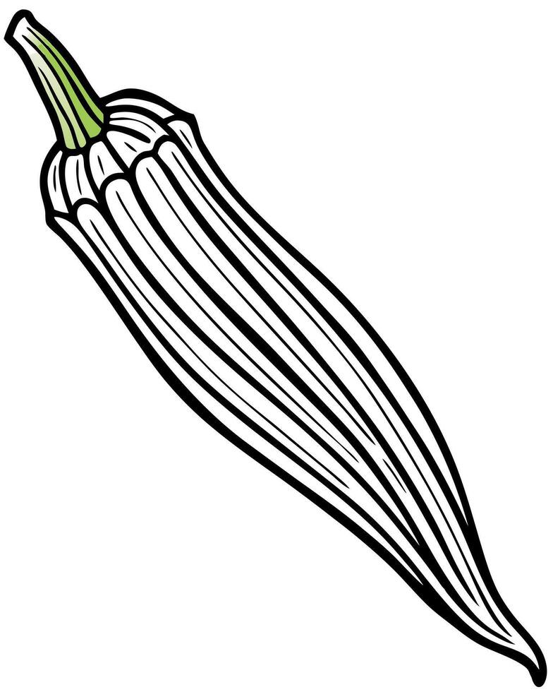 cartoon, realistic okra, illustration line art vector