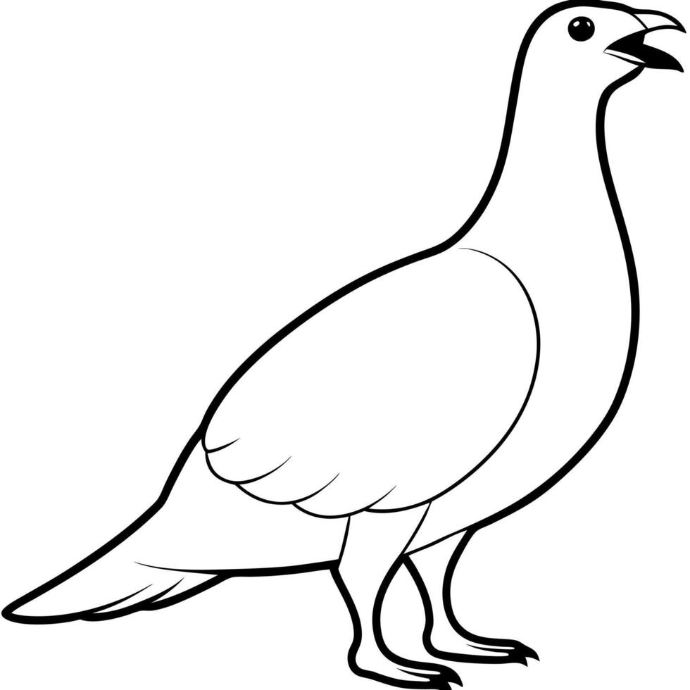 a ptarmigan bird roar full length line art, illustration line art vector