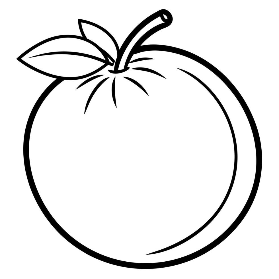 camotes, illustration line art vector
