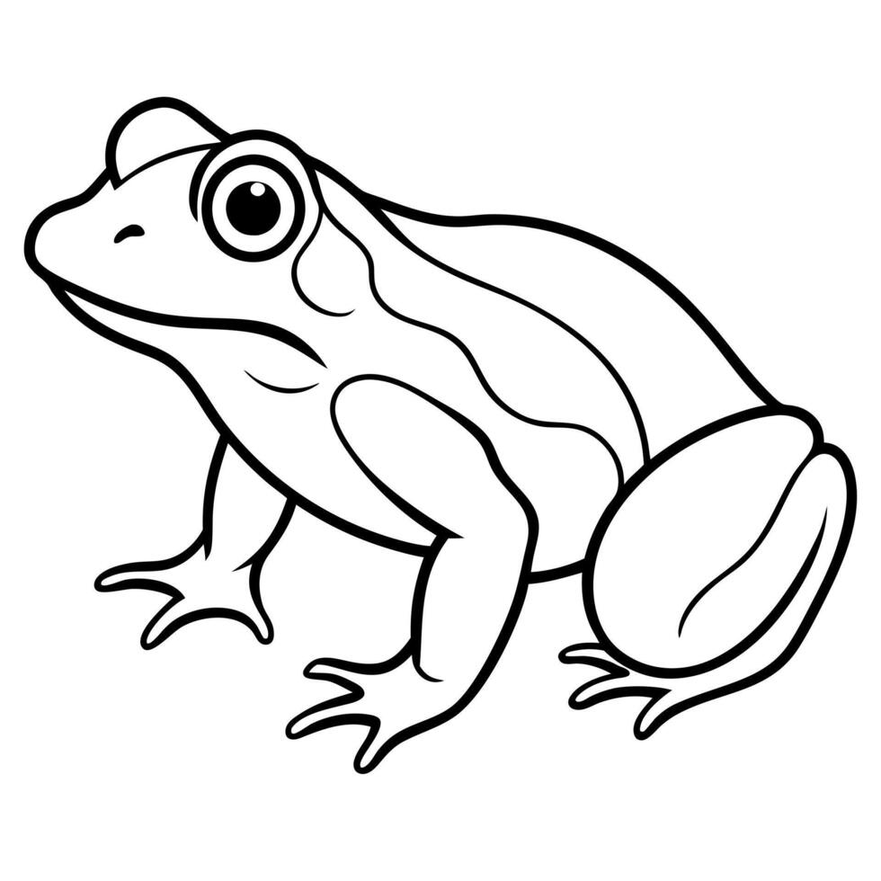 frog black and white with white background, illustration line art vector