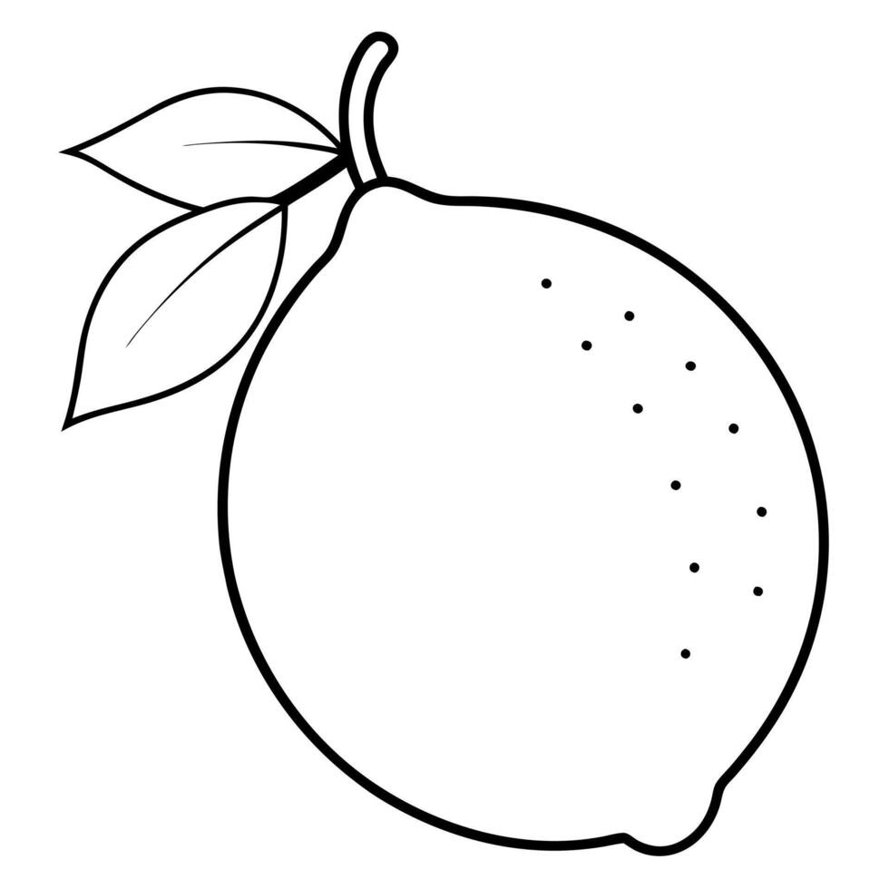 lemon , illustration line art vector