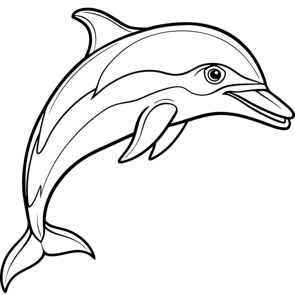 dolphin line art, illustration line art vector