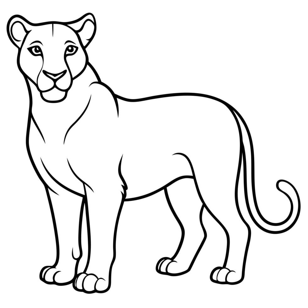 lioness, illustration line art vector