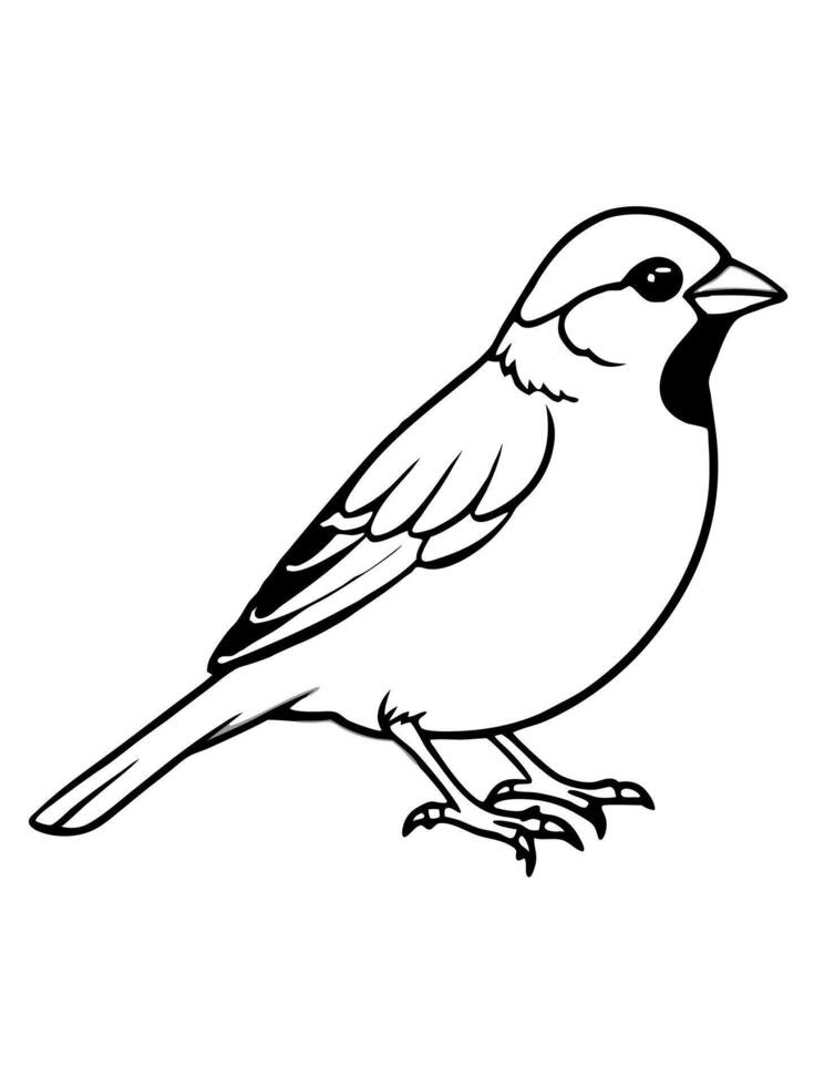 sparrow, illustration line art vector
