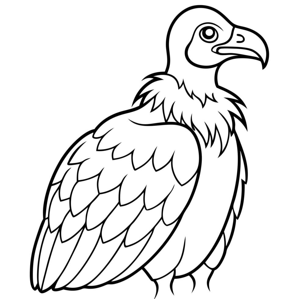 vulture, illustration line art vector