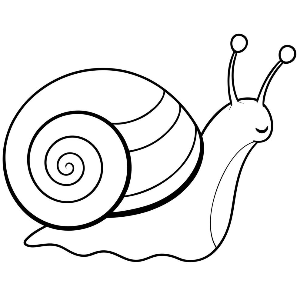 snail, illustration line art vector