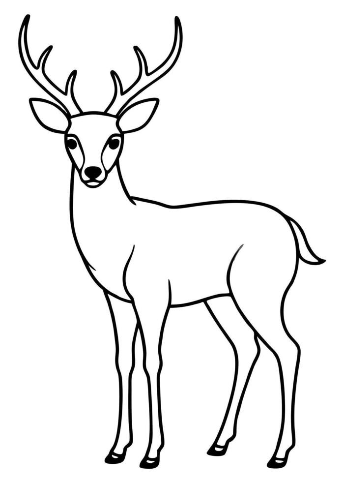 deer, illustration line art vector