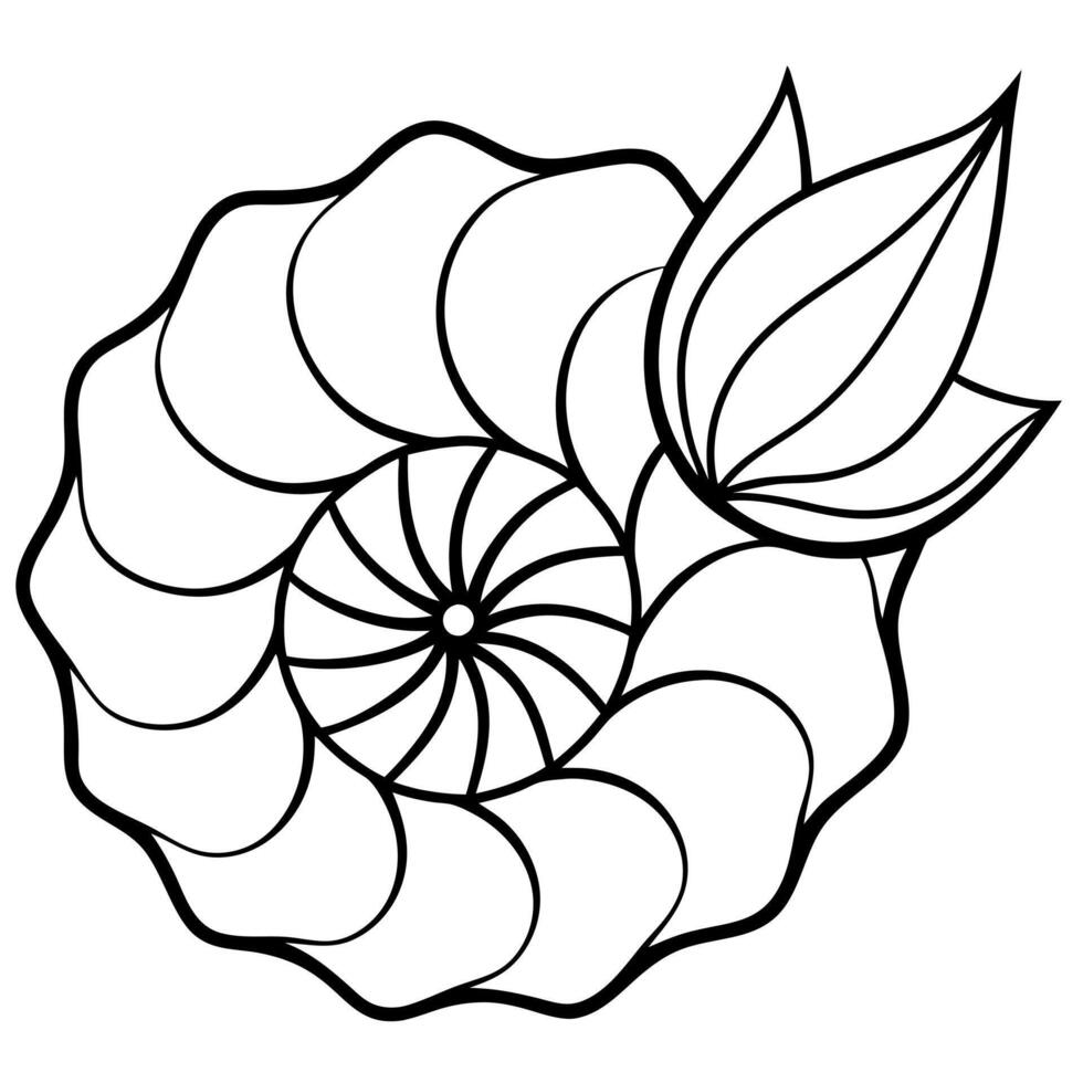 nautilus and petal fusion, black and white prints, rich lines, illustration line art vector