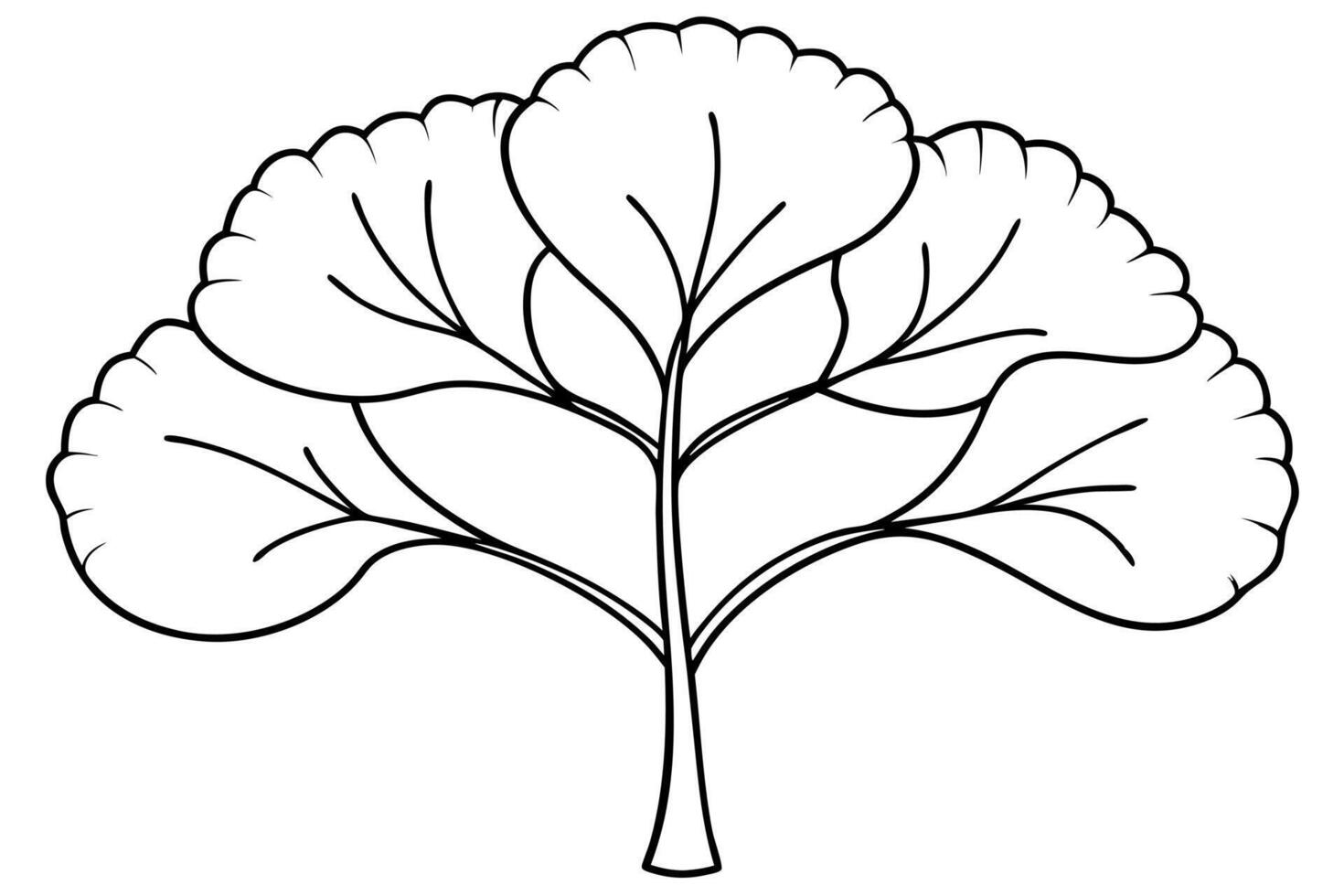 ginkgo biloba tree, illustration line art vector