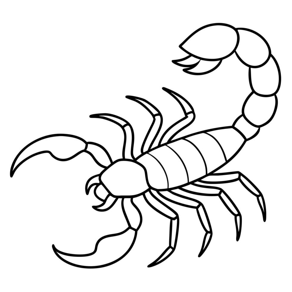 white little scorpion, illustration line art vector