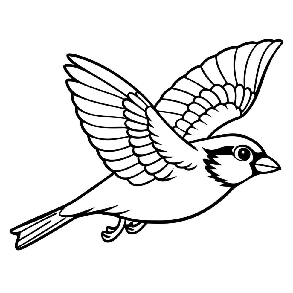 a sparrow fly on the sky, illustration line art vector