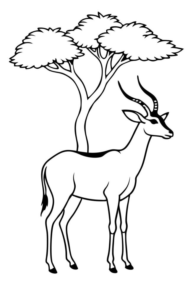 a gerenuk standing on its hind legs, reaching up to nibble on leaves from tall branches, with vector