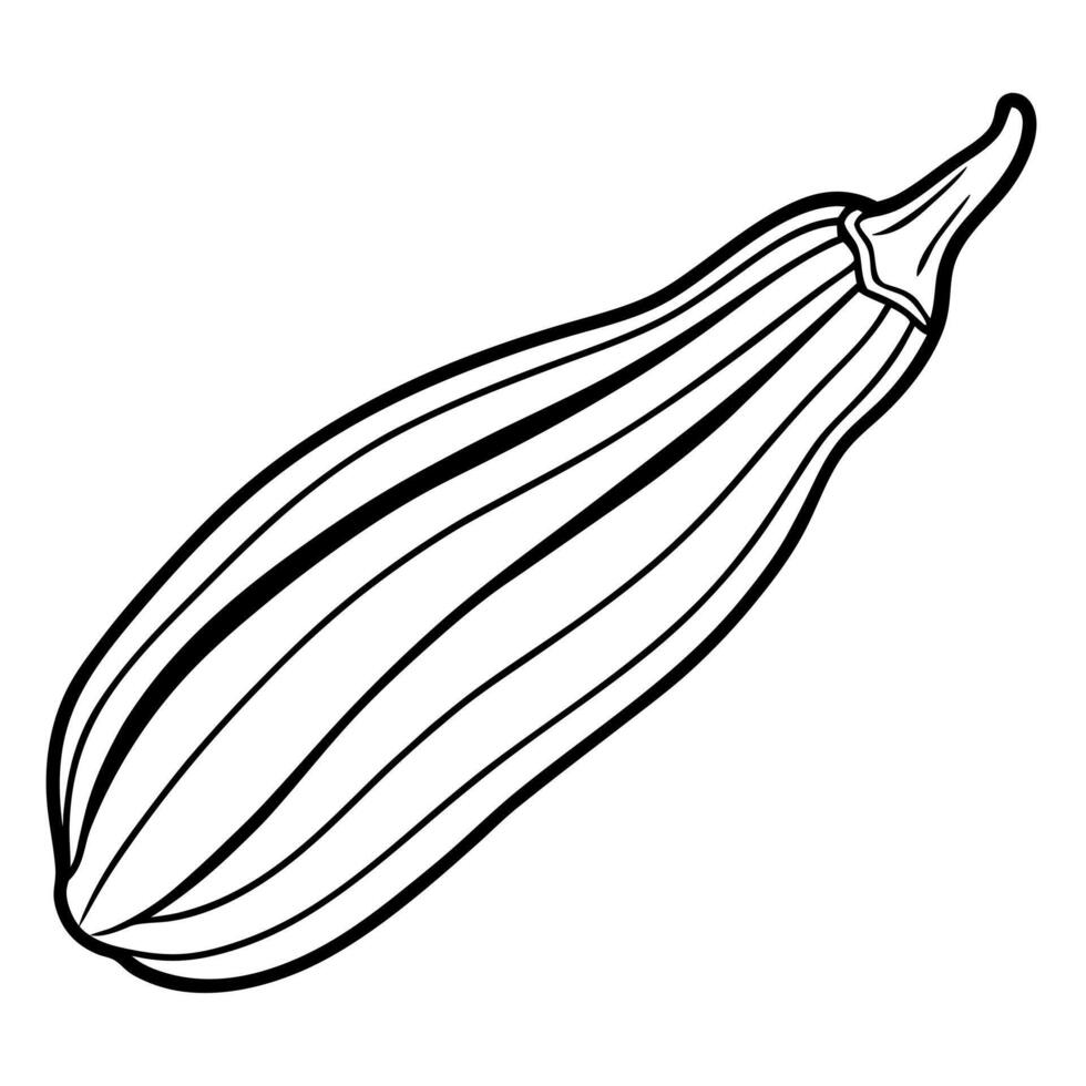 a realistic illustration of okra on a clean white background highlight the elongated, vector