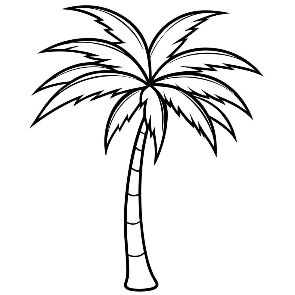 a palm tree, illustration line art vector