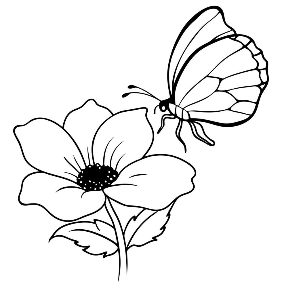 a butterfly is extracting nectar from a anemone flower, illustration line art vector