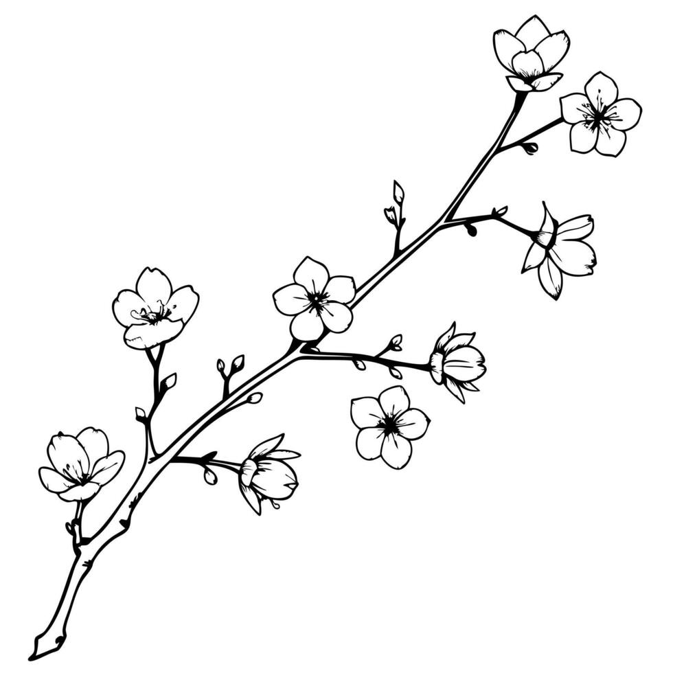 stock flowers on a crooked branch, illustration line art vector