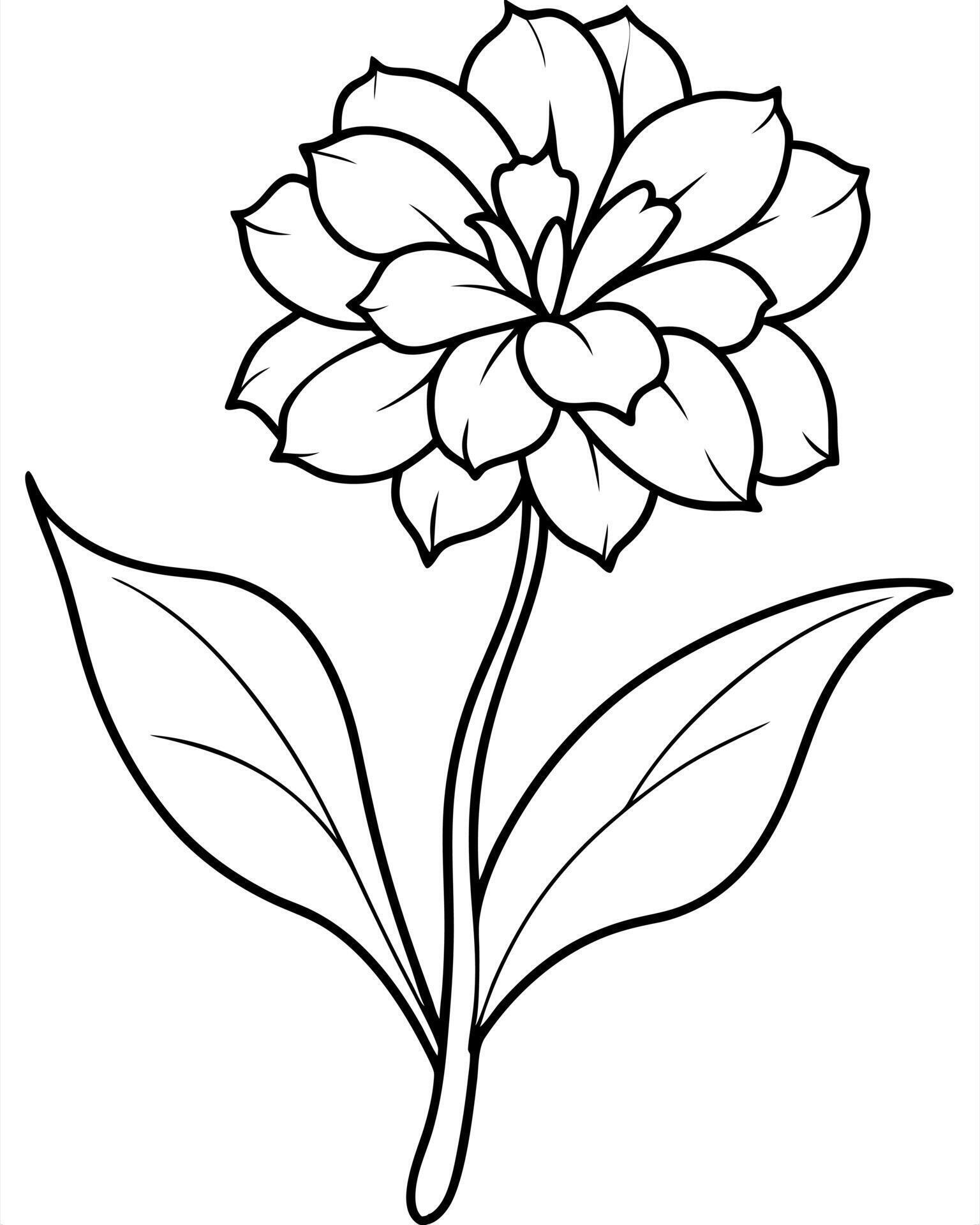 a coloring page of an lychnis flower with no color just black lines
