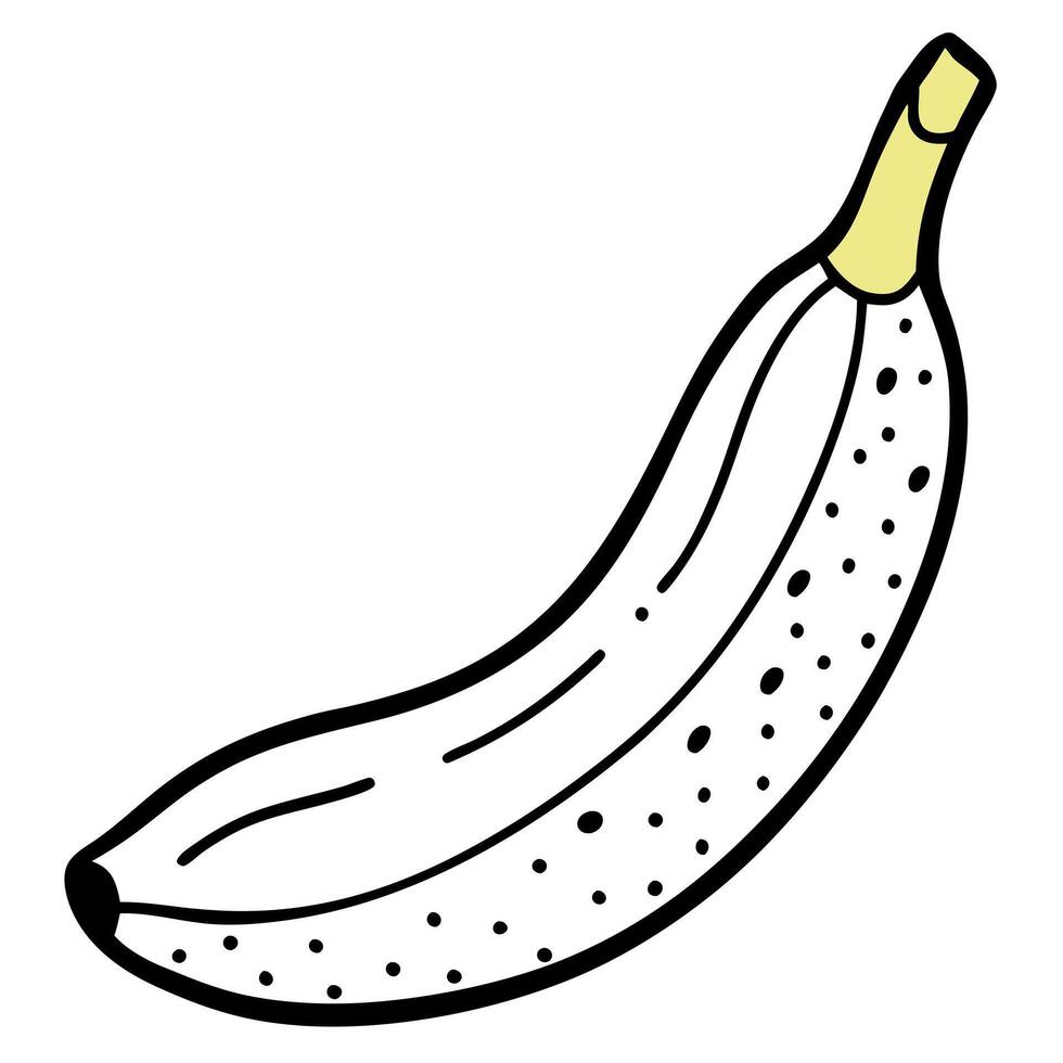 image of a ripe yellow banana with brown speckles, slightly peeled, illustration line art vector