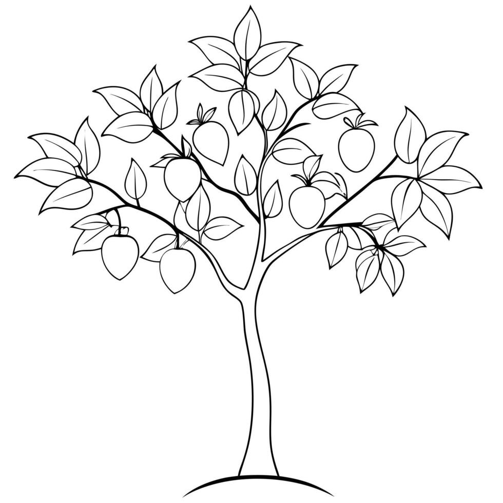 citrus tree, illustration line art vector