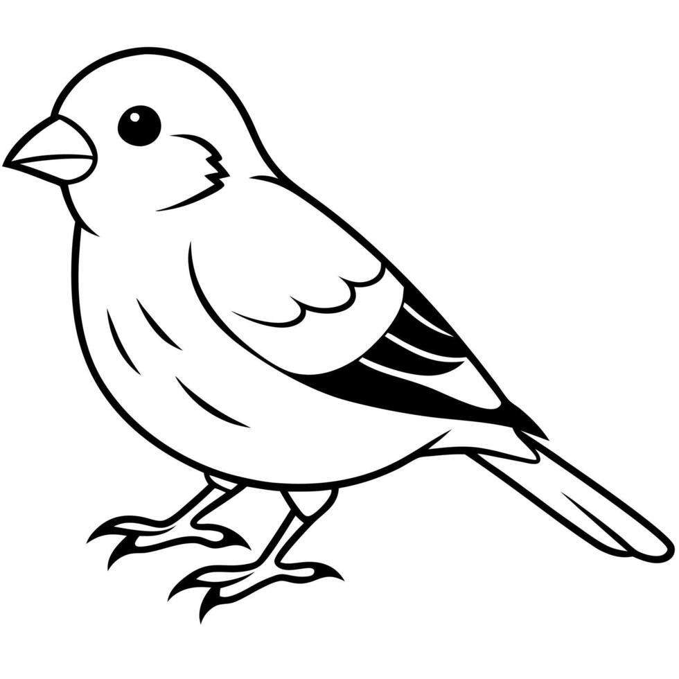 a cute siskin white background, illustration line art vector