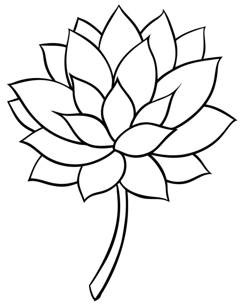 a coloring page of an sedum flower with no color just black lines, illustration line art vector
