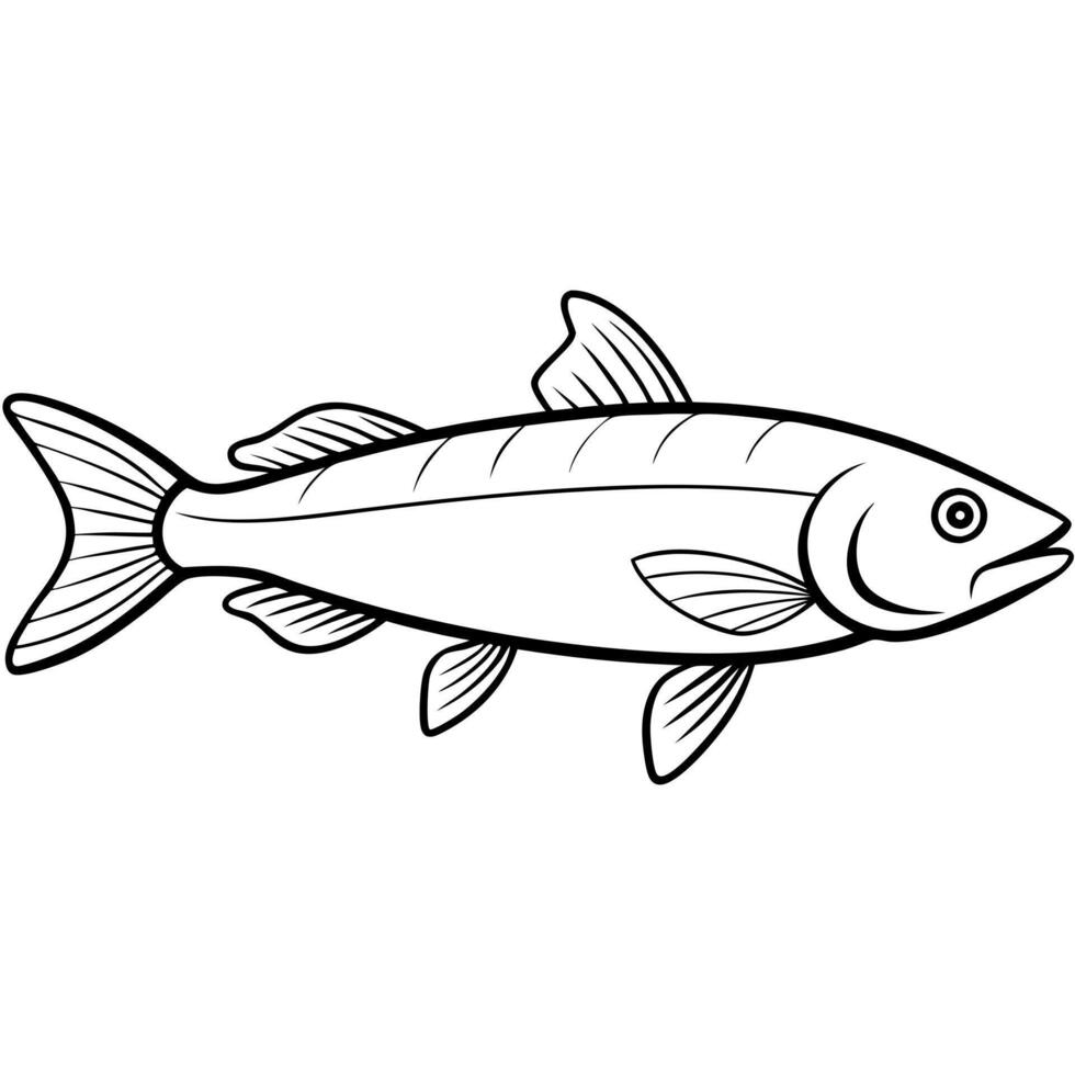 bangladeshi uncommon fish nandus nandus nandus real and natural, illustration line art vector