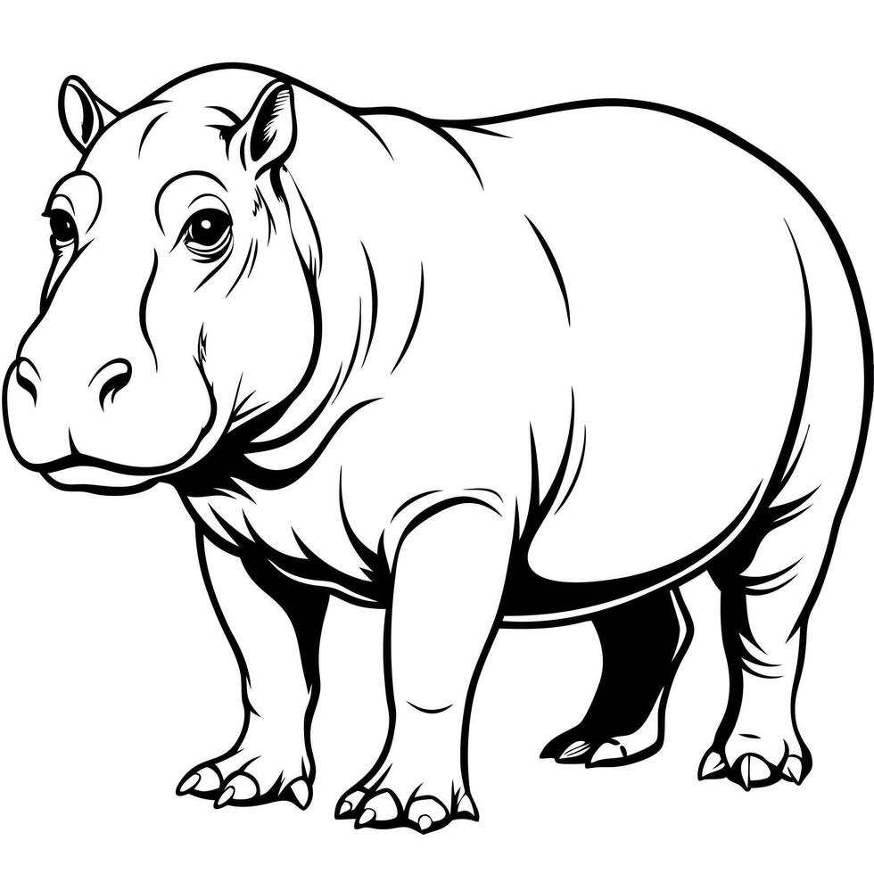 hippo, illustration line art vector