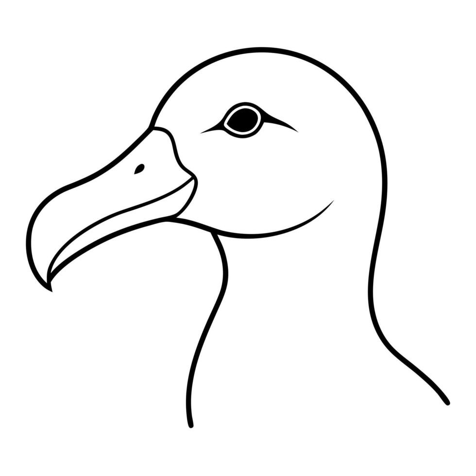 albatross head silhouette on white background, illustration line art vector