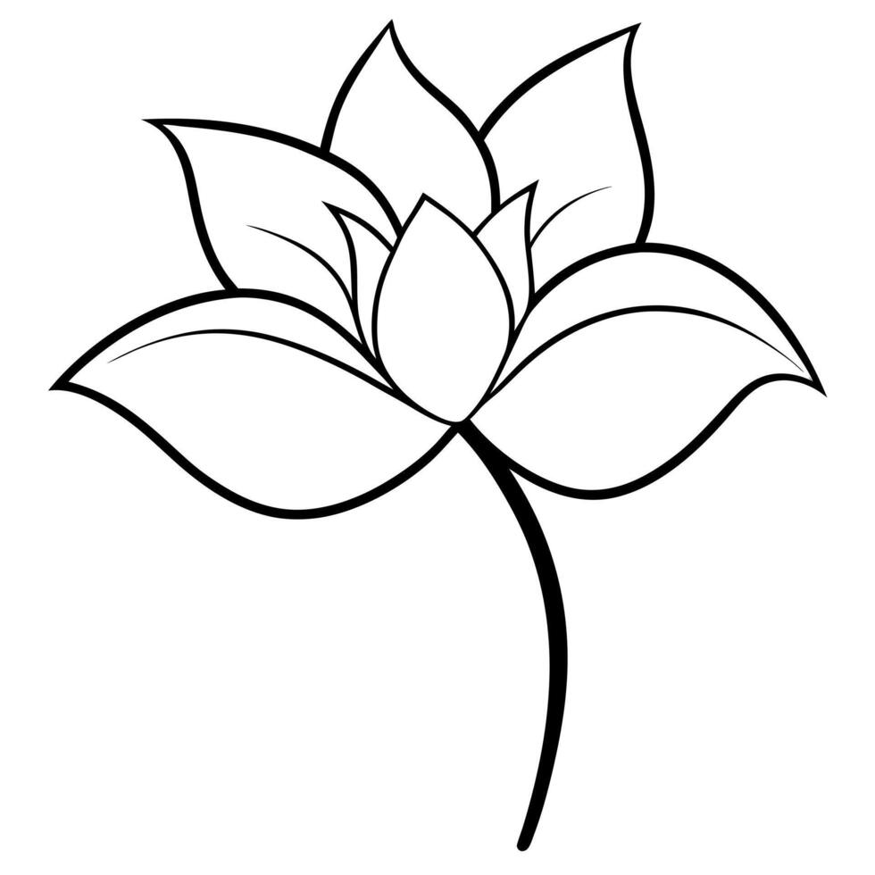 a black and white sketch of a jasmine flower with a large, stylized petal and a long stem, vector
