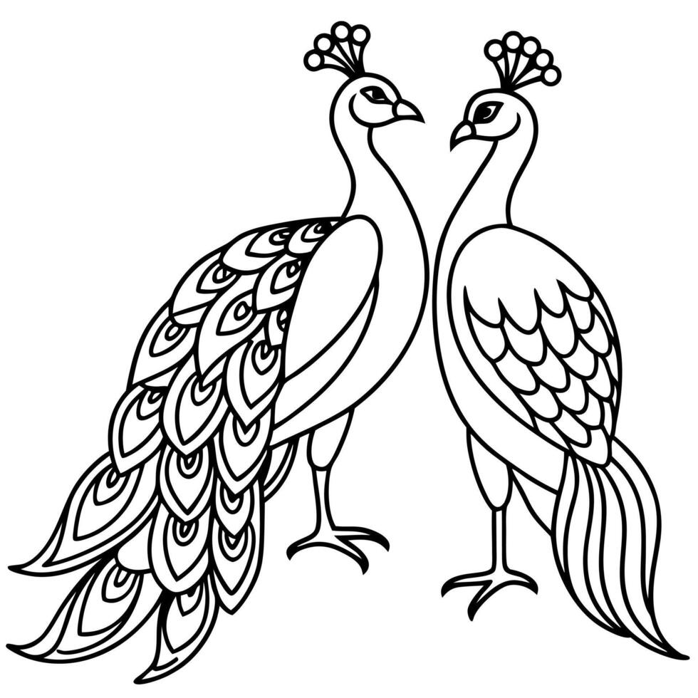 beautiful birdspeacocks - cutter friendly silhouette white background, illustration line art vector