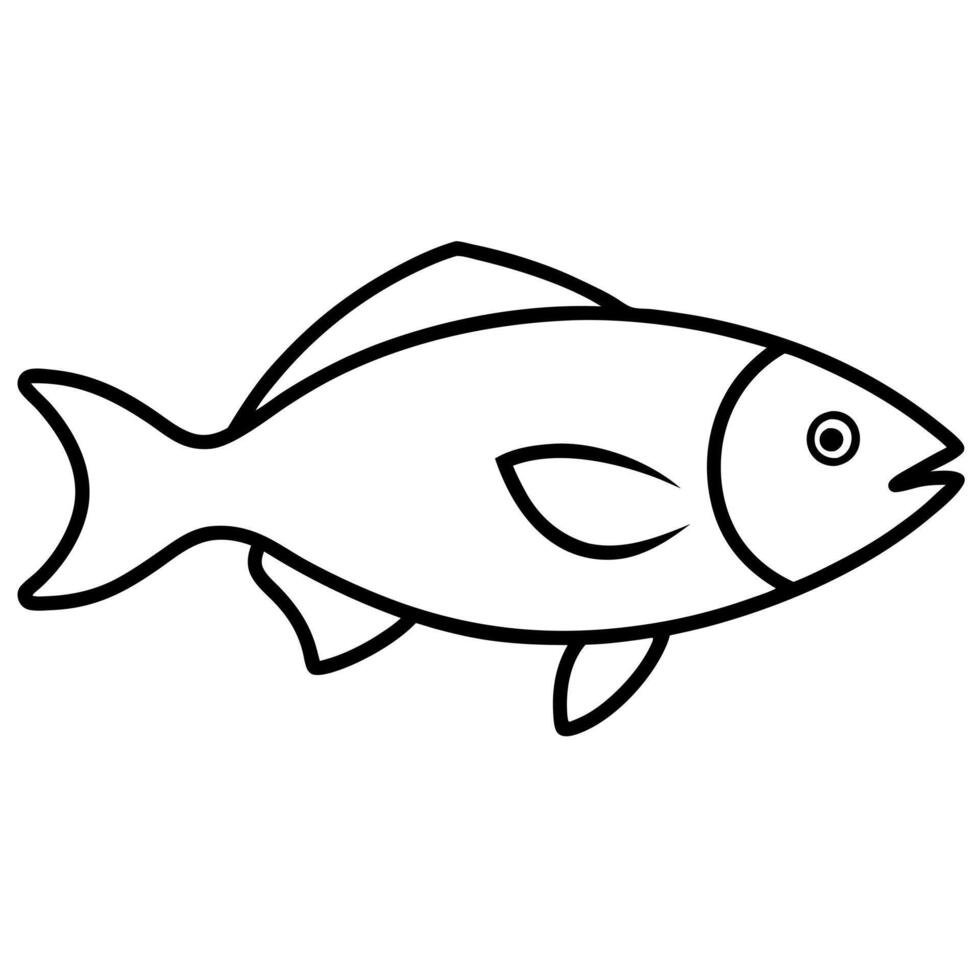 fish quality, illustration line art vector